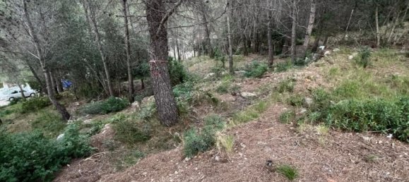 Grundstück in La Bisbal Del Penedes, Spain 465m², Nr. 23808 22