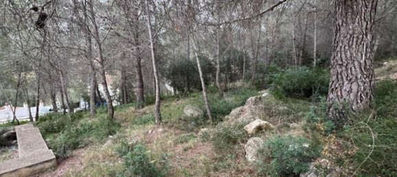 Grundstück in La Bisbal Del Penedes, Spain 465m², Nr. 23808 19