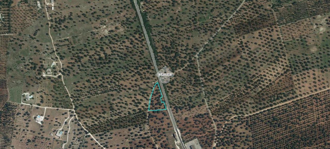 5820m² Land in Carovigno, Italy No. 41368