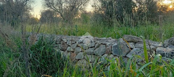 5820m² Land in Carovigno, Italy No. 41368 2