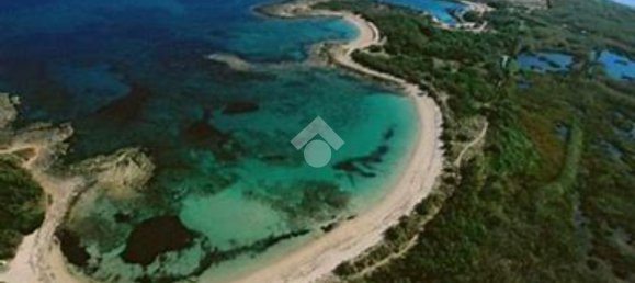 5820m² Land in Carovigno, Italy No. 41368 4