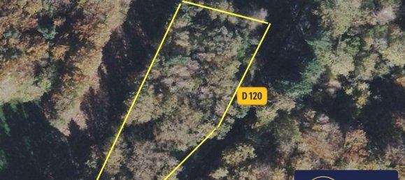 Grundstück in Palisse, France 2500m², Nr. 95977 7