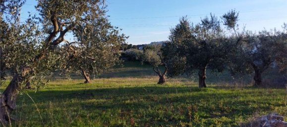 3-Zimmer Haus in Martina Franca, Italy, Nr. 104300 4