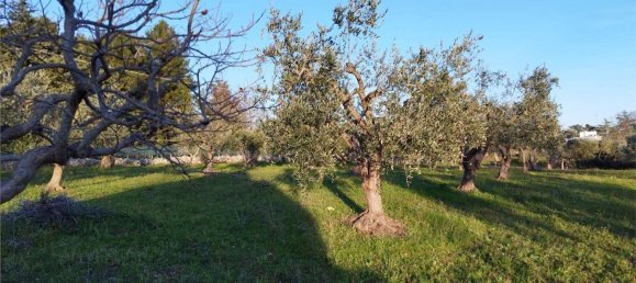 3-Zimmer Haus in Martina Franca, Italy, Nr. 104300 6