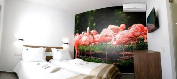 17 غرف نوم بناية في Quarteira, Portugal رقم 119219 21