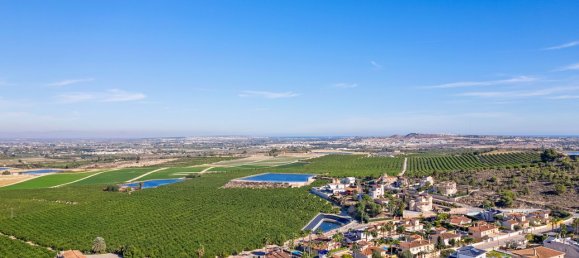 4 bedrooms Villa in Almoradi, Spain No. 10870 8