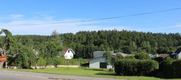  Land in Unterkohlstatten, Austria No. 201886 5