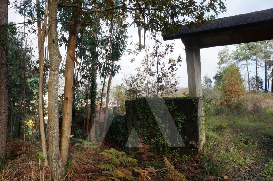  Land in Sever do Vouga, Portugal No. 93208