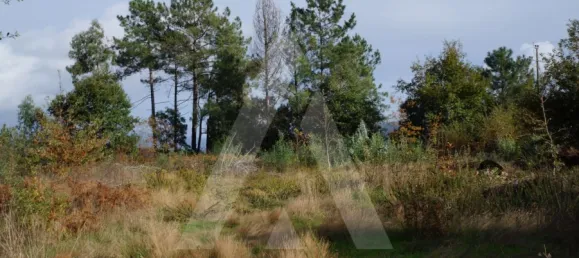 Land in Sever do Vouga, Portugal No. 93208 7