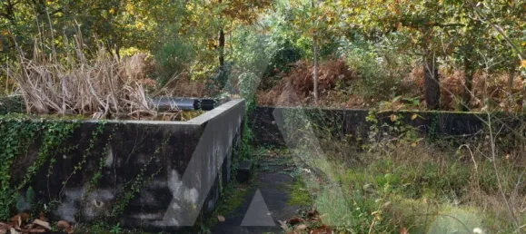 Land in Sever do Vouga, Portugal No. 93208 2