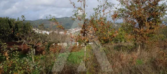 Land in Sever do Vouga, Portugal No. 93208 8