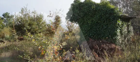 Land in Sever do Vouga, Portugal No. 93208 5