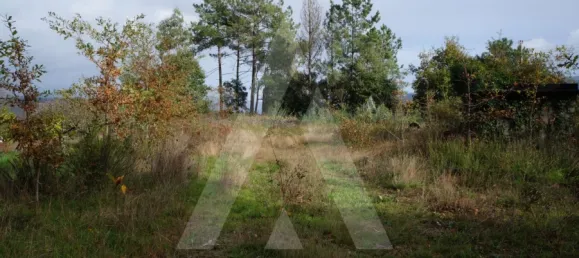 Land in Sever do Vouga, Portugal No. 93208 4