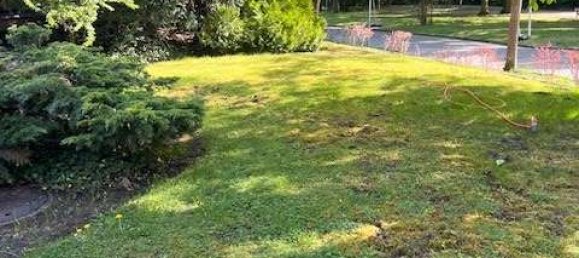 2 bedrooms Apartment in Dahlem, Germany No. 45749 3