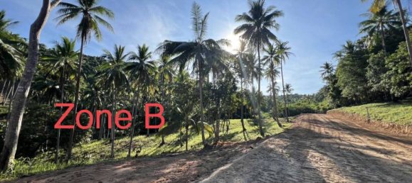  Land in Surat Thani, Thailand No. 59348 3