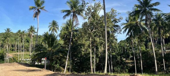  Land in Surat Thani, Thailand No. 59348 6