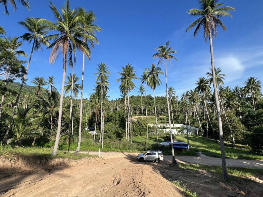  Land in Surat Thani, Thailand No. 59348