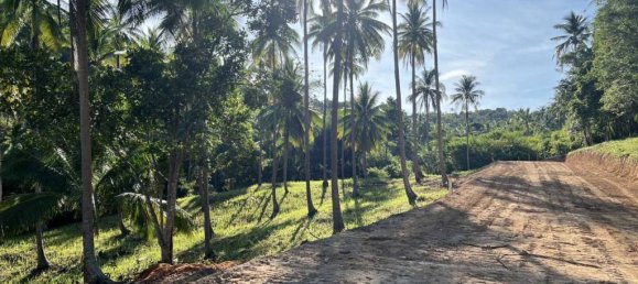  Land in Surat Thani, Thailand No. 59348 5