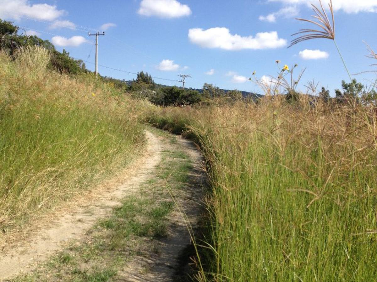 Grundstück in Mexico, Nr. 204517