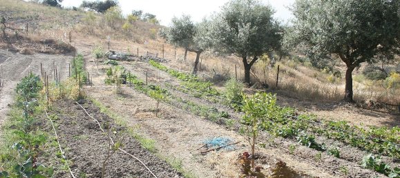 8 غرف نوم منزل في Rosmaninhal, Portugal رقم 179128 32