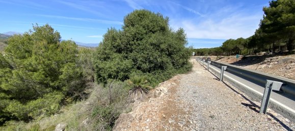  Land in Alhaurin el Grande, Spain No. 126119 19