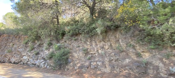  Land in Alhaurin el Grande, Spain No. 126119 28