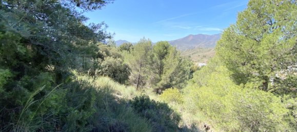  Land in Alhaurin el Grande, Spain No. 126119 12