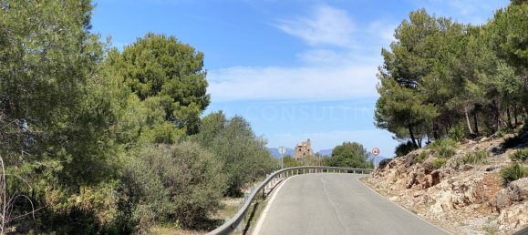  Land in Alhaurin el Grande, Spain No. 126119 25