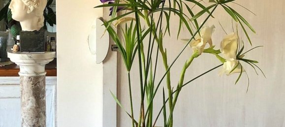 2 chambres Penthouse à Rome, Italy No. 251752 23