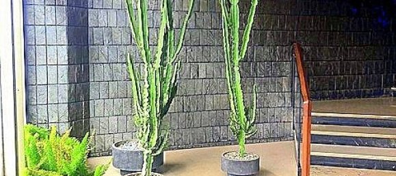 2 chambres Penthouse à Rome, Italy No. 251752 5