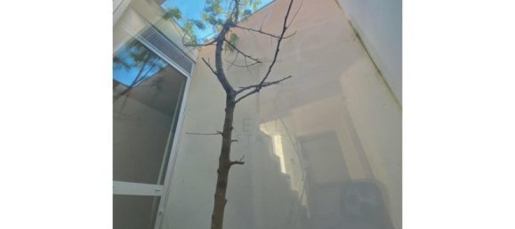 3 bedrooms House in Cascais, Portugal No. 173557 20