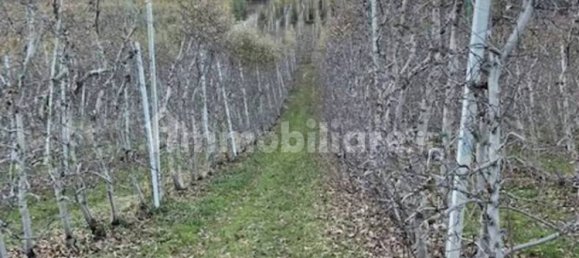 Terrain à Trentino, Italy 5100m² No. 325701 3