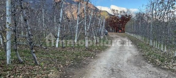 Terrain à Trentino, Italy 5100m² No. 325701 2