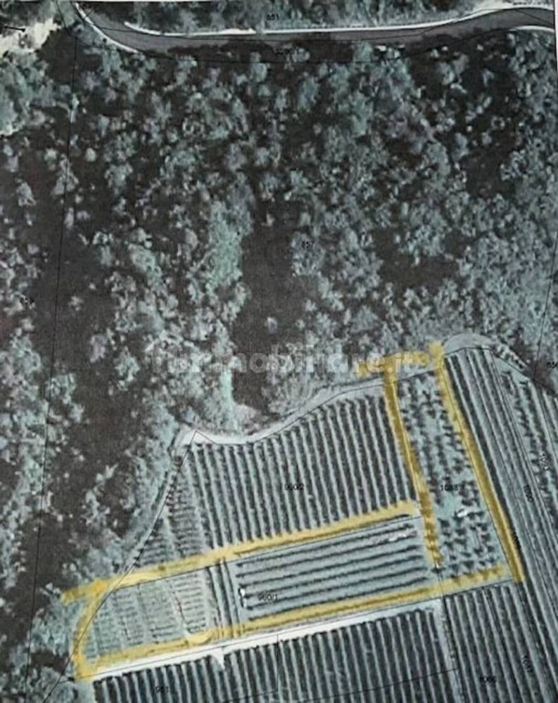 Terrain à Trentino, Italy 5100m² No. 325701