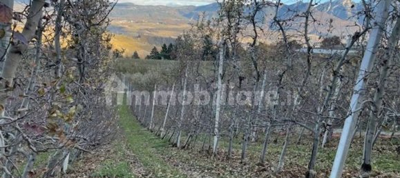 Terrain à Trentino, Italy 5100m² No. 325701 4