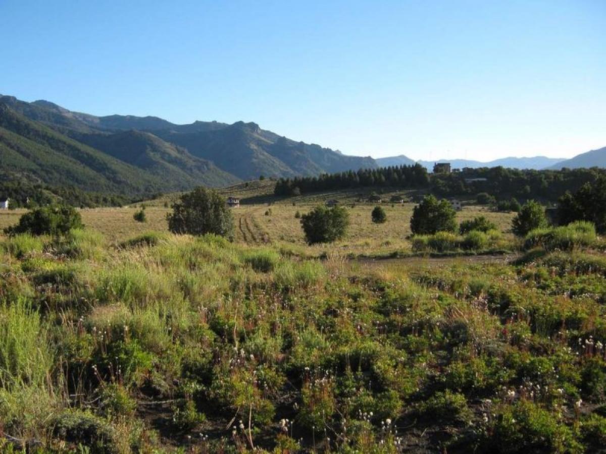 Terrain à Neuquen, Argentina No. 34059