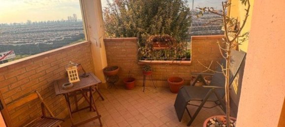 2 rooms Apartment in San Felice sul Panaro, Italy No. 81606 13