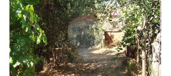 1 bedroom House in Oledo, Portugal No. 32014 11