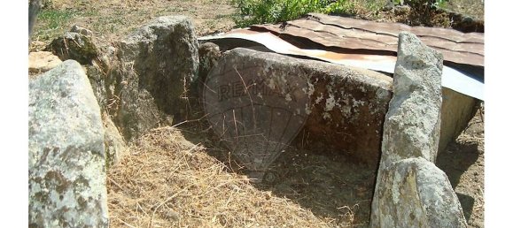 1 bedroom House in Oledo, Portugal No. 32014 21