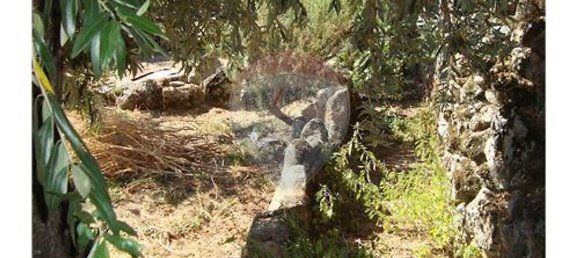 1 bedroom House in Oledo, Portugal No. 32014 20