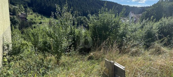 Terreno em Freudenstadt, Germany N.º 50371 2