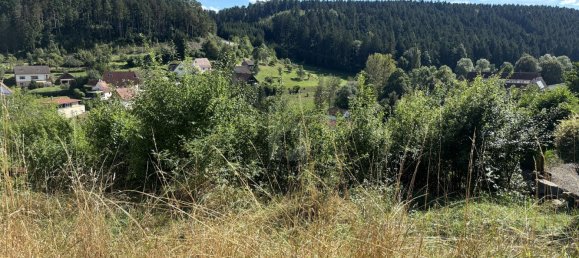 Terreno em Freudenstadt, Germany N.º 50371 3