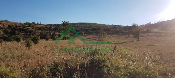 1 room Land in Bronte, Italy No. 232396 2