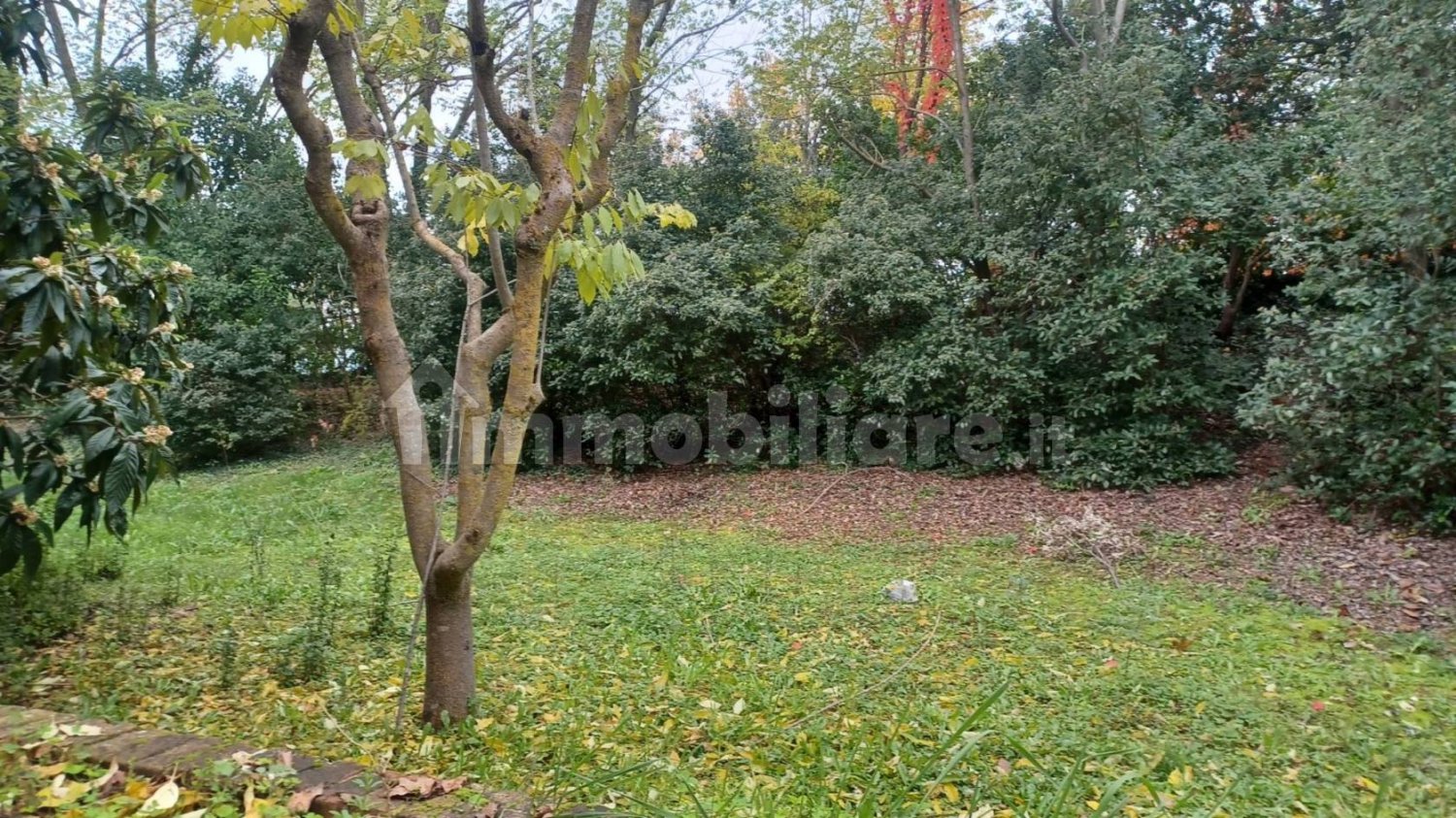 6 bedrooms Villa in Rimini, Italy No. 209196