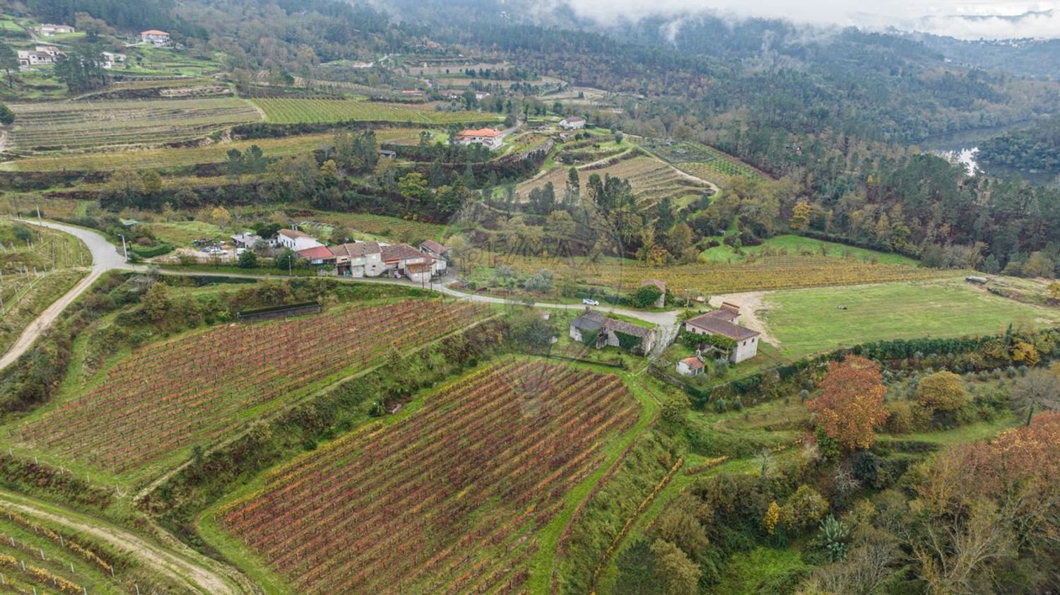 2 bedrooms House in Amarante, Portugal No. 30245