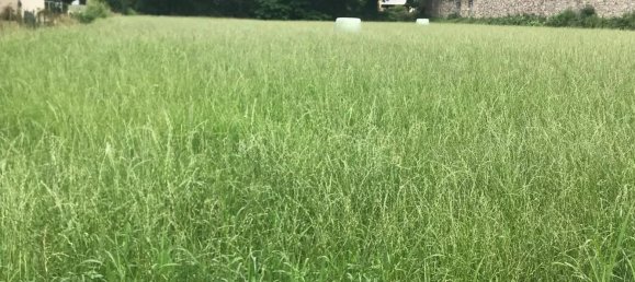 1-Zimmer Grundstück in Beauchalot, France, Nr. 84622 2