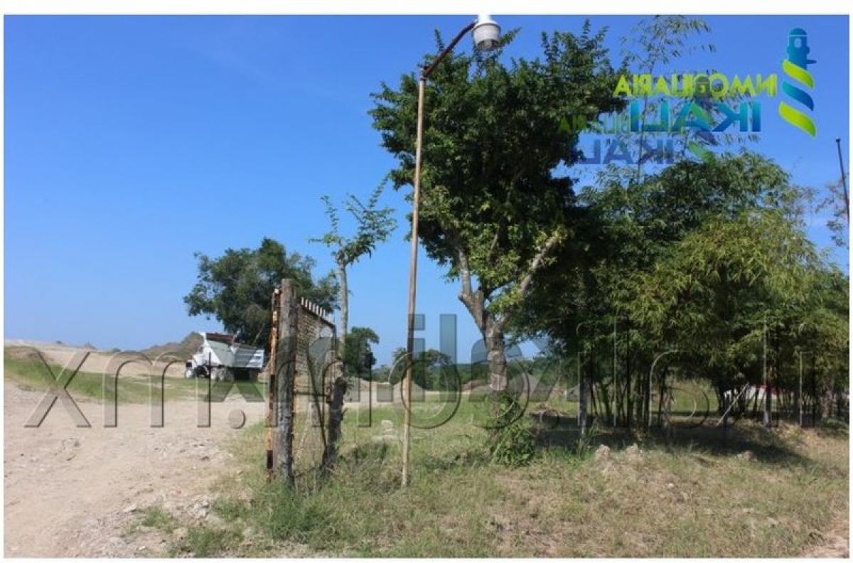  Land in Veracruz, Mexico No. 203531