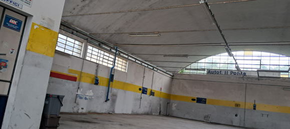 4 rooms Commercial property in Lucca, Italy No. 289328 3