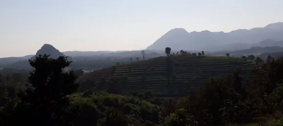 Villa T3 em Chiang Rai, Thailand N.º 64995 25