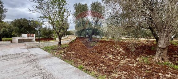 5 rooms House in Ceglie Messapica, Italy No. 36100 13